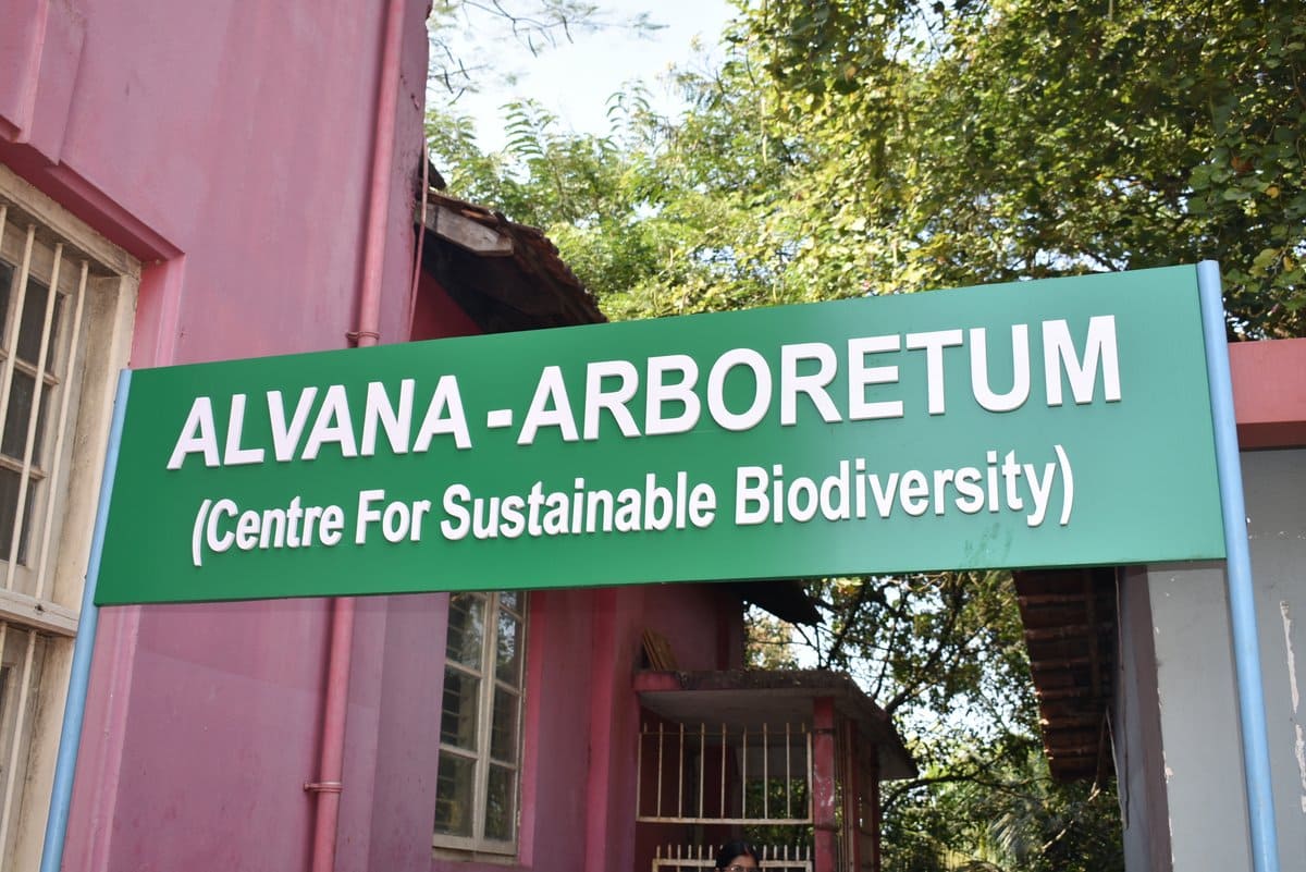 Alvana – Arboretum